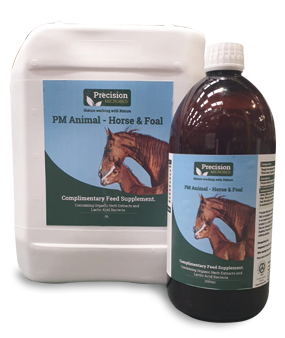 Probiotic & Prebiotic Horse and Foal